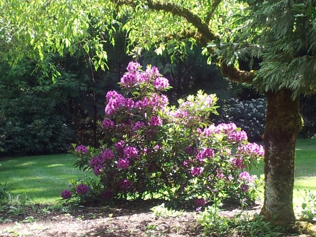 20150518_151126