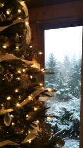 20151221_154845_resized