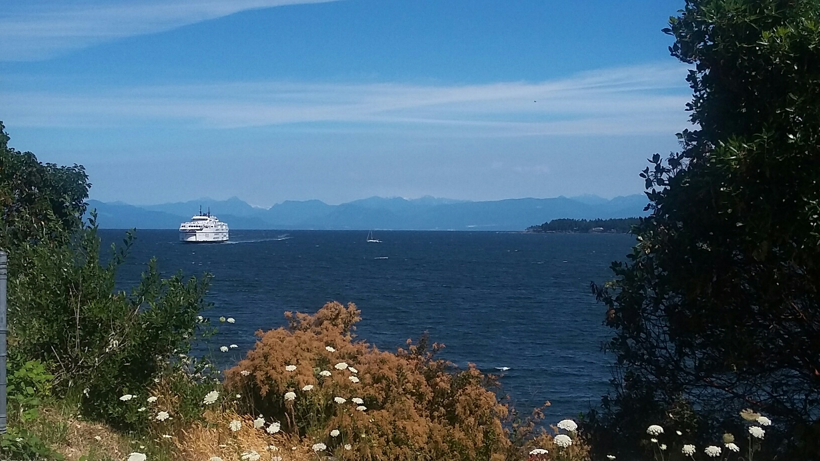 20170717_121744_resized