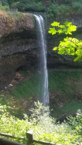 20170820_170318_resized