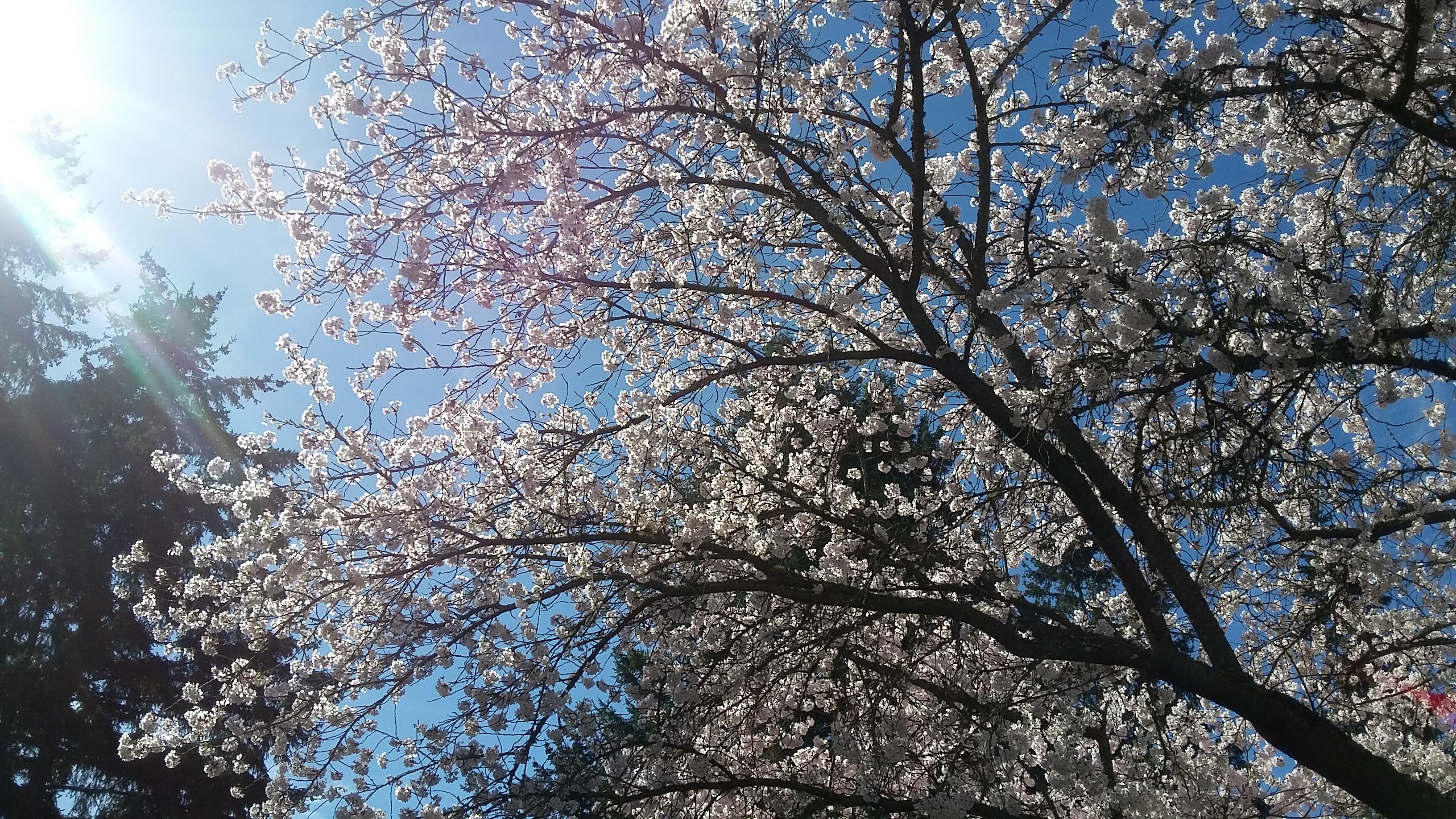 20190404_114714