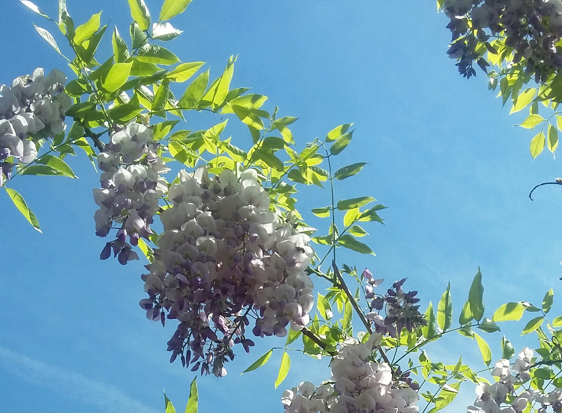 20190511_141710-2