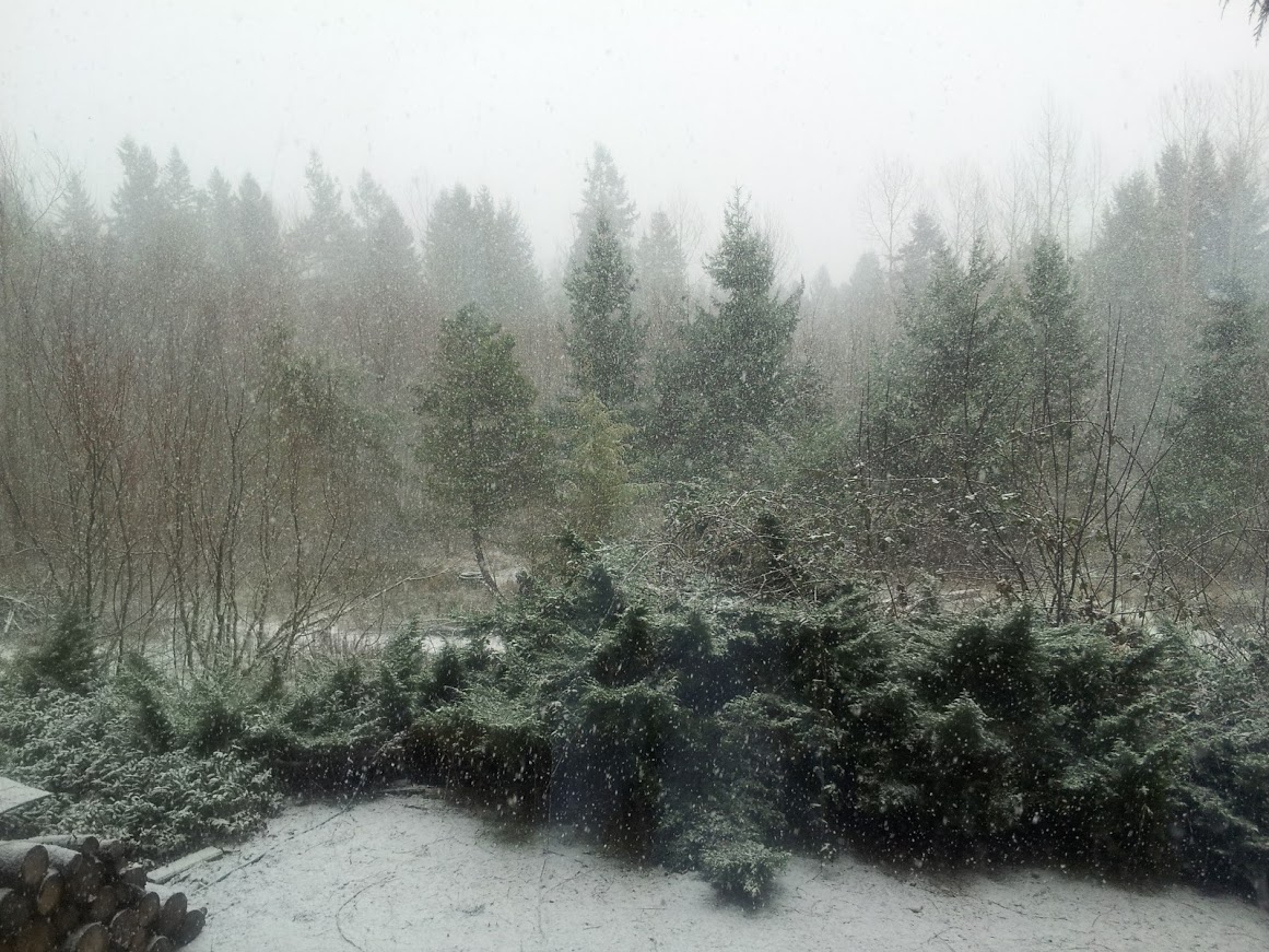 Devotional snow
